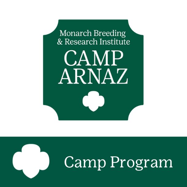 Camp Arnaz: BB Tie Dye - JCSA